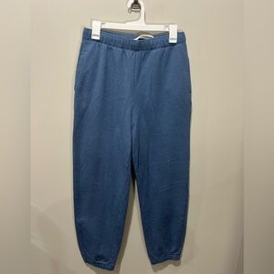 American Eagle Outfitters Blue Joggers